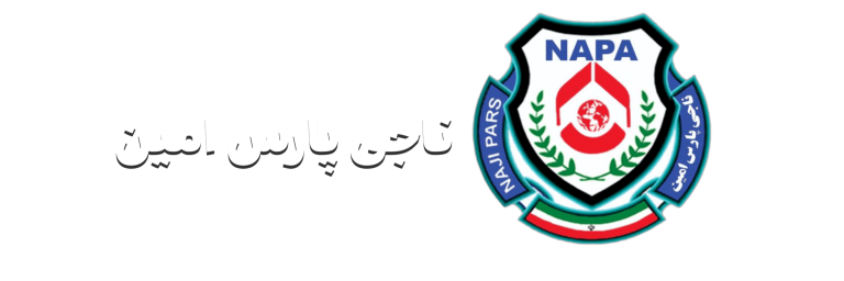 ناجی پارس